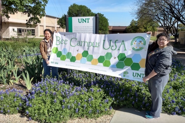 UNT Bee Campus Sign