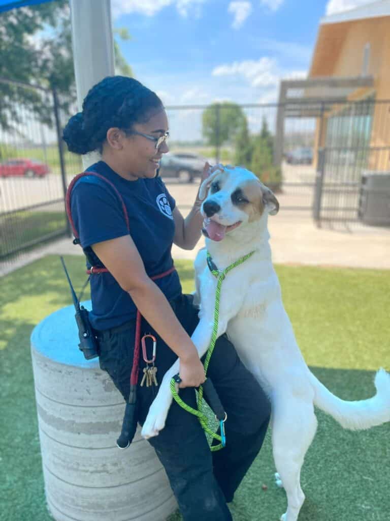 Denton Animal Services