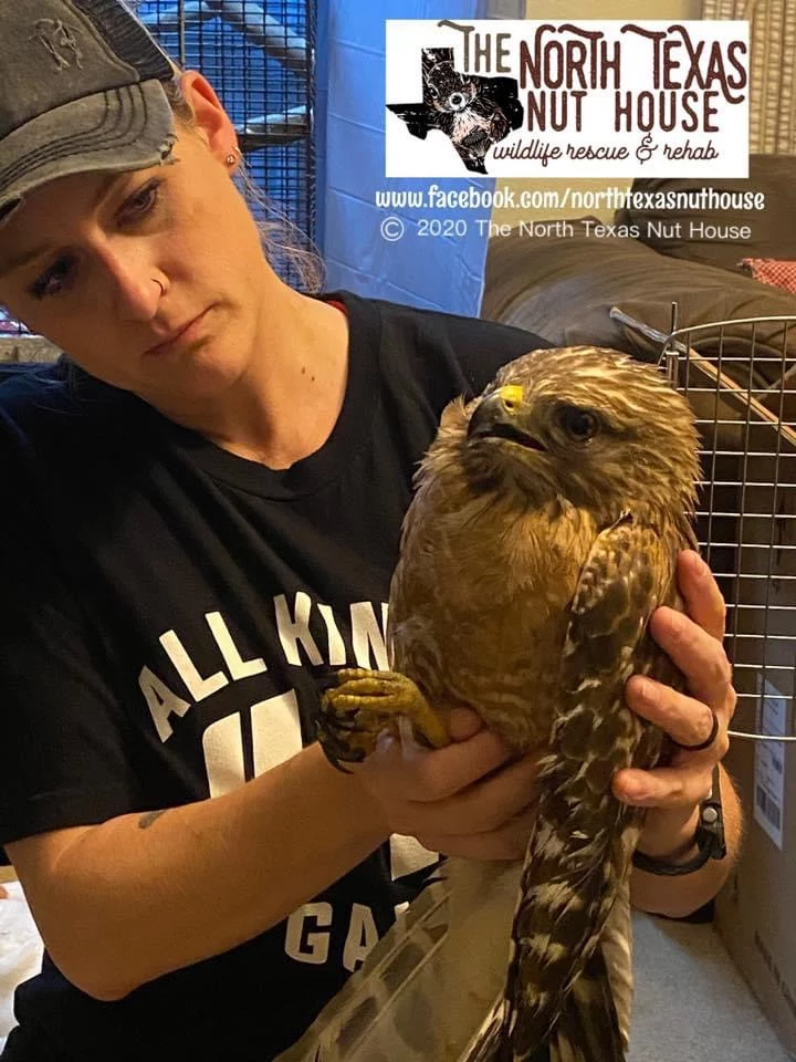 The North Texas Nuthouse Wildlife Rescue and Rehab